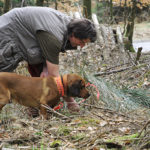 Einarbeitung des Jagdhundes mit Werner Stief