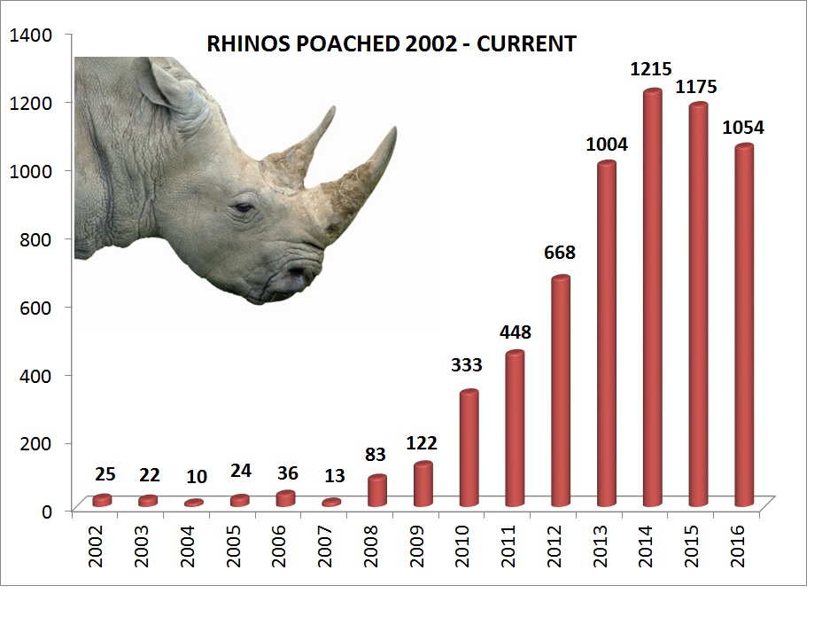Rhino-Horn in Südafrika
