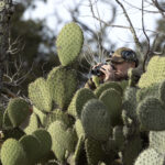 Mexico – Whitetail – reportage – 06-1
