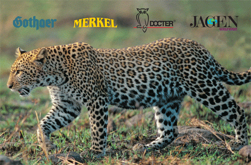 Schießscheibe Leopard