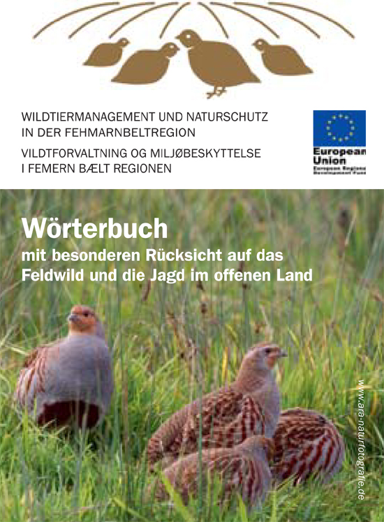 20130313_JWW_Interreg_Woerterbuch-Deutsch Dänisch_550